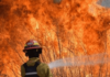 Se mantienen activos ocho focos de incendios en Corrientes y otros seis en Misiones