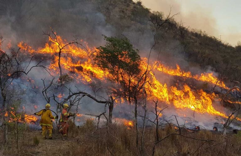 La lluvia trajo alivió, pero los incendios siguen en Salta y Jujuy