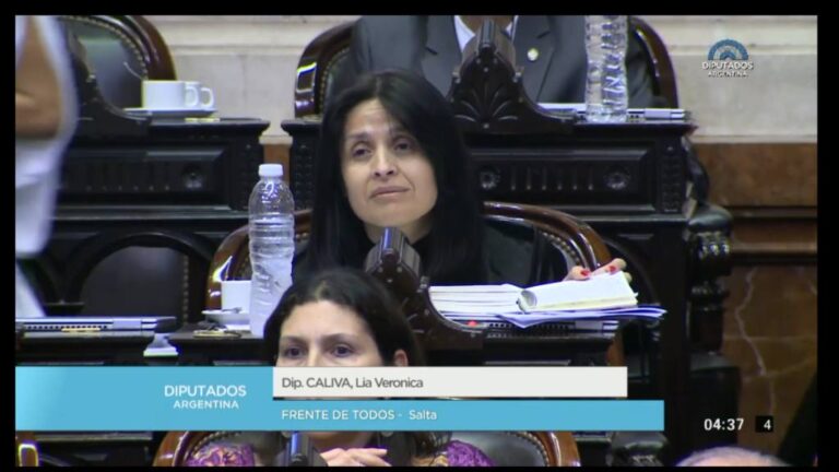 Gran preocupación en las provincias por la intención del kirchnerismo que quiere nacionalizar el litio