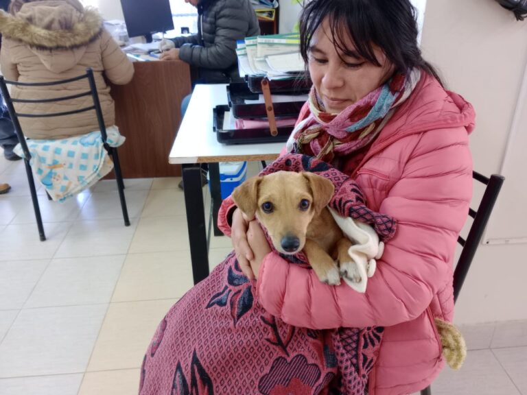 La Municipalidad instalará la próxima semana el Móvil Quirúrgico en Floresta