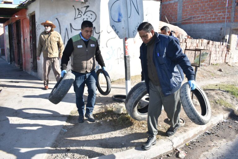 Patrulla Ambiental: nuevo operativo de retiro de neumáticos en la vía pública
