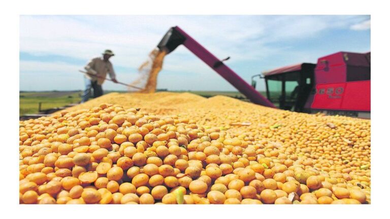 El primer semestre del año fue uno de los peores de la historia para el comercio de granos