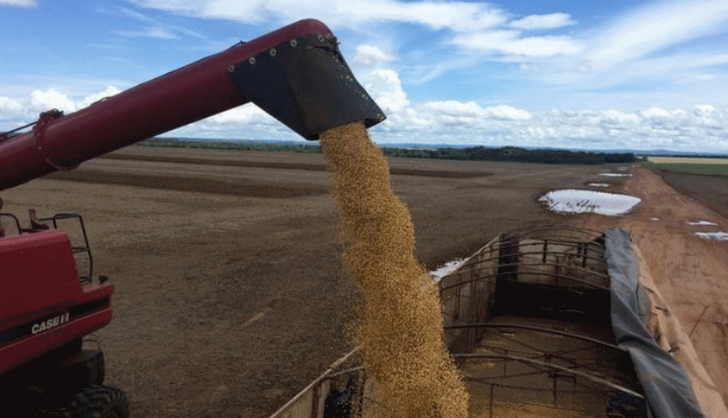 Una ola de inseguridad y violencia afecta a los productores del norte salteño