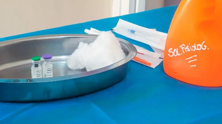 Comenzó la vacunación contra el dengue en el departamento Anta