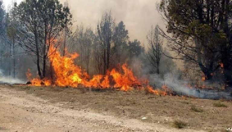 Los incendios consumieron más de 200 hectáreas en Salta