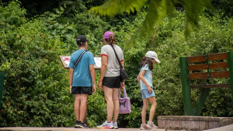 Más de 21 mil turistas visitaron Salta durante el fin de semana largo por la Diversidad Cultural